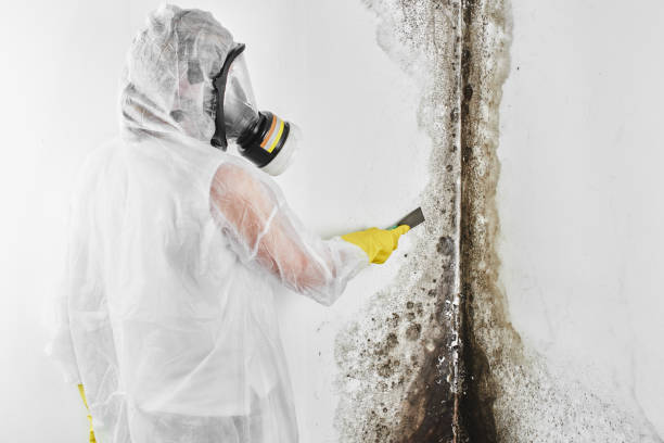 Best Mold Testing  in Yacolt, WA