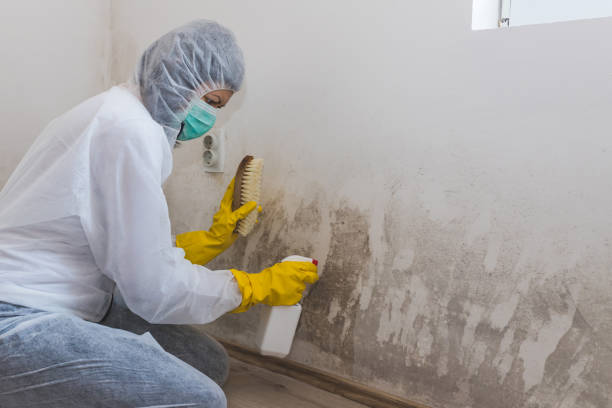Best Crawl Space Mold Removal  in Yacolt, WA