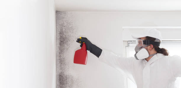 Best Mold Removal and Inspection  in Yacolt, WA