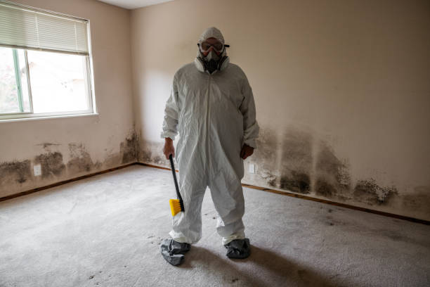 Mold Removal and Inspection in Yacolt, WA
