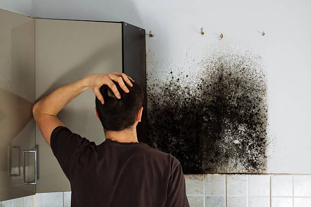 Best Local Mold Removal Service  in Yacolt, WA