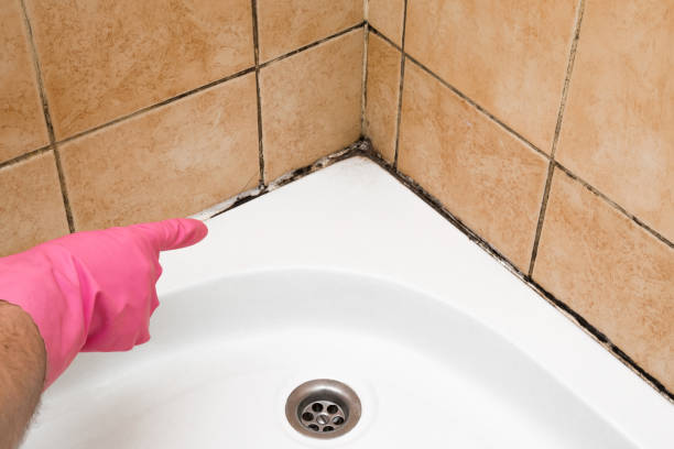 Best Mold Testing  in Yacolt, WA